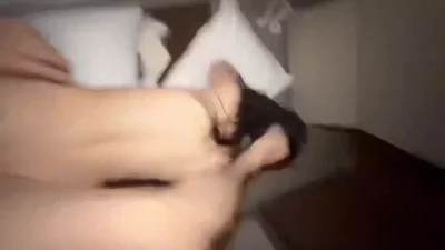 约一个野炮