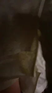 旗袍青春女大，床上叫的太骚