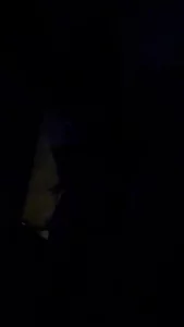 骚货泰妹嗷嗷干我